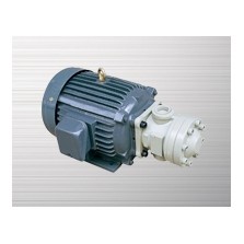 Combination of gear pump motor