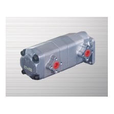 PAA series double gear pump
