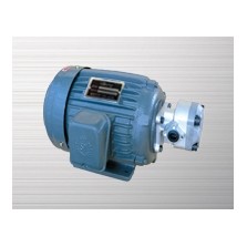 齒輪泵電機組合