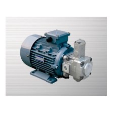 變量葉片泵電機組合